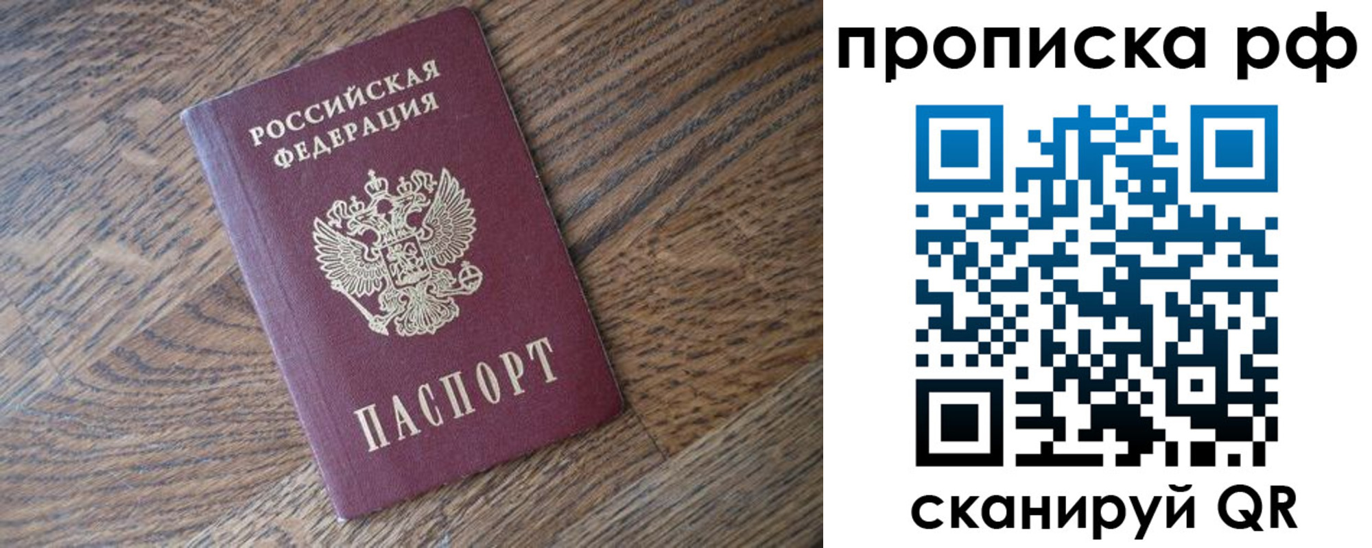 прописка поиск в Владимирской области